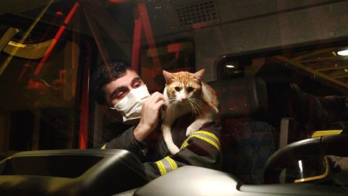 Boş daireye bırakılan kedi ve köpeği, itfaiyeciler kurtardı