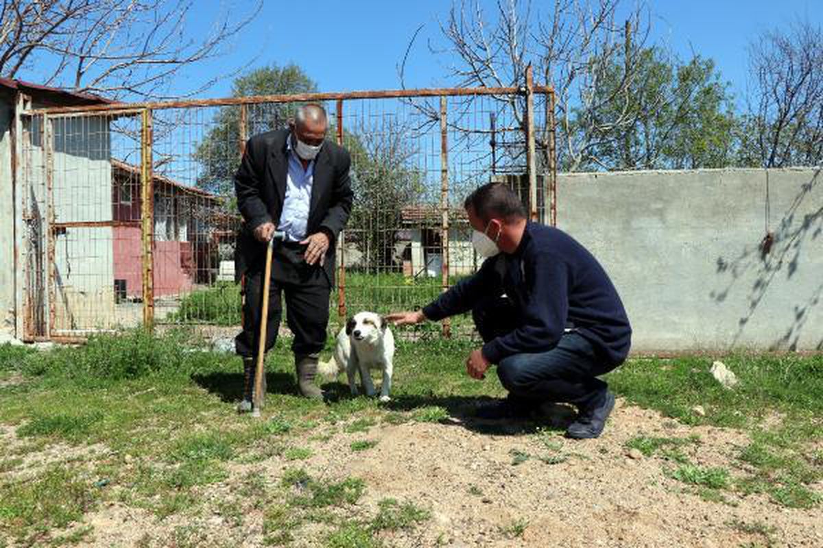 Kayıp olarak aranan yaşlı adamın beslediği sokak köpeğine, köylüler sahip çıktı