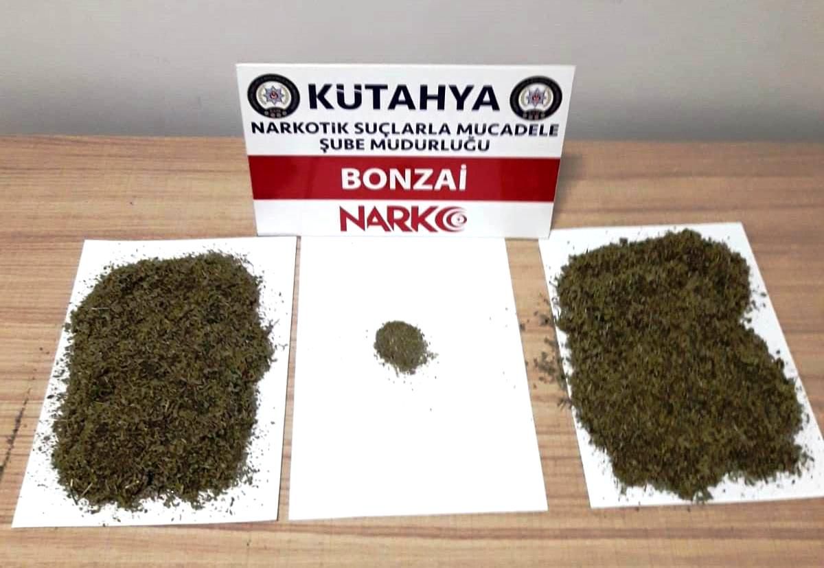 Kütahya\'da valizin içerisinden 226 gram bonzai çıktı