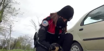 Tunca Nehri'ne atılan yavru köpeğe polis şefkati