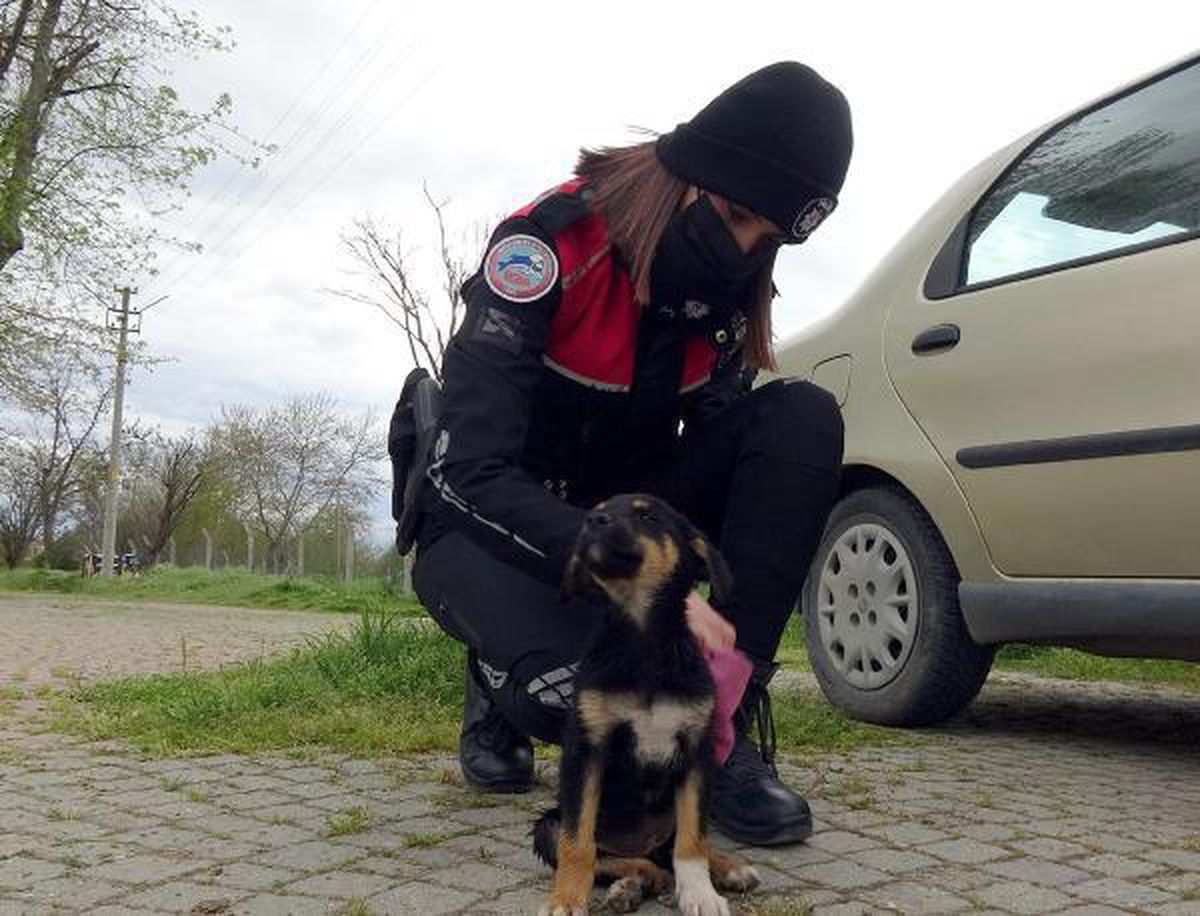 Tunca Nehri\'ne atılan yavru köpeğe polis şefkati
