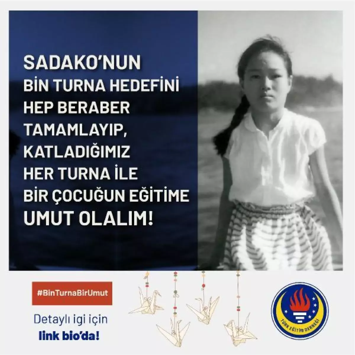 Son dakika! Turna kuşları çocukların eğitimi için kanatlanıyor