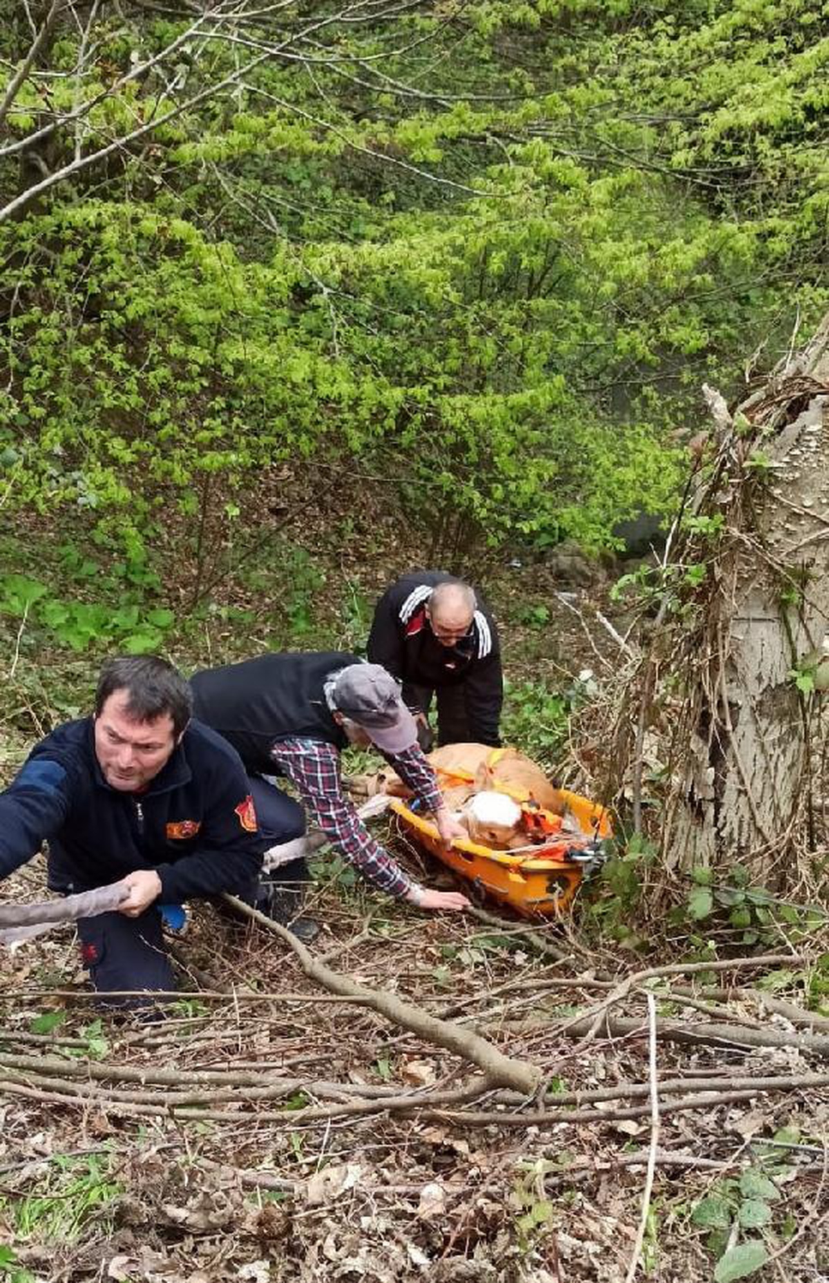 30 metre yükseklikten yuvarlanan buzağıyı itfaiye kurtardı