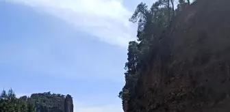 Karayoluna düşme tehlikesi bulunan ağaçlar kesildi