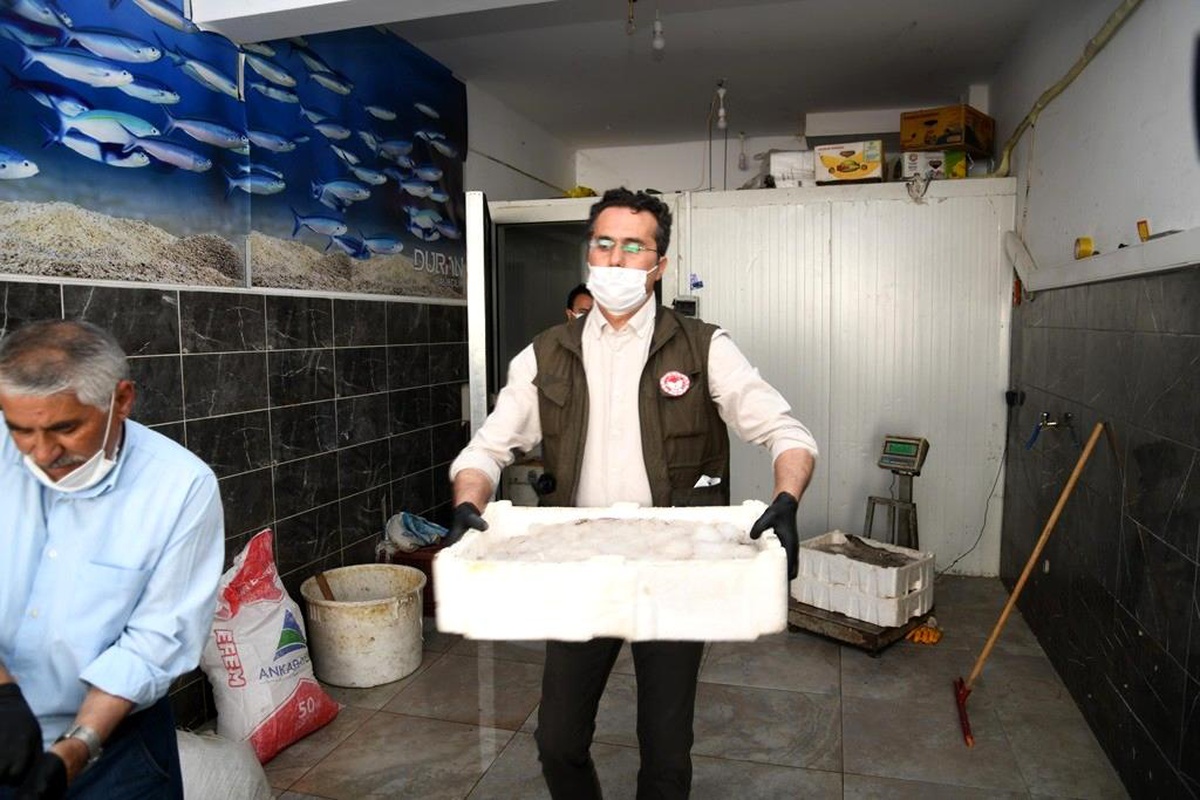 Kayseri\'de kaçak sazan ve yayın balığı ele geçirildi