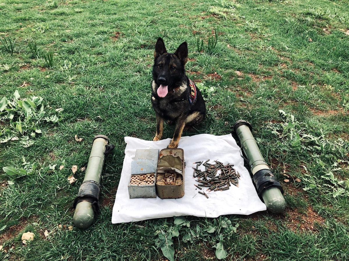Çatak\'ta antitank roketatar mühimmatı ve mermi ele geçirildi