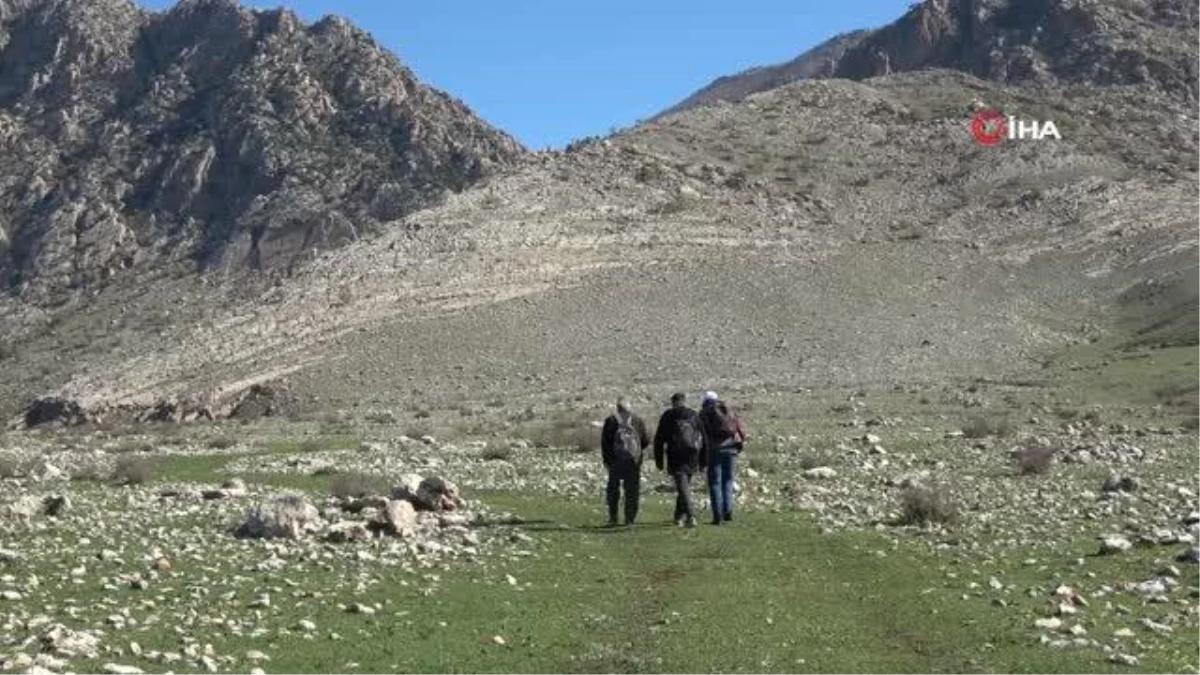Gabar Dağı doğaseverlerin trekking merkezi oldu