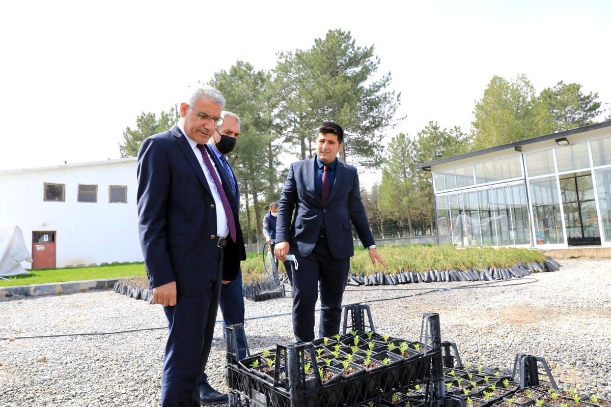 Güder, özel sera alanında incelemelerde bulundu