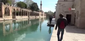 İngiliz turist, Urfa ciğeri yemek için 5 bin kilometre yol geldi