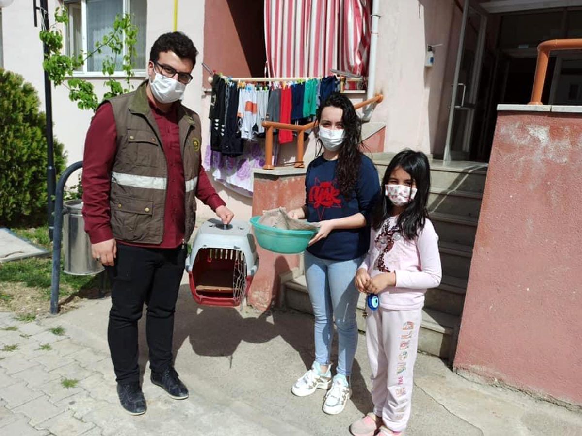 Yorgun halde bulunan güvercin tedavi altına alındı