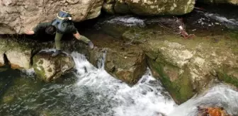 Zonguldak'ta doğal yürüyüş parkurları ilgi çekiyor