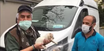 Avcılardan Arama Kurtarma Timine yavru köpek hediye