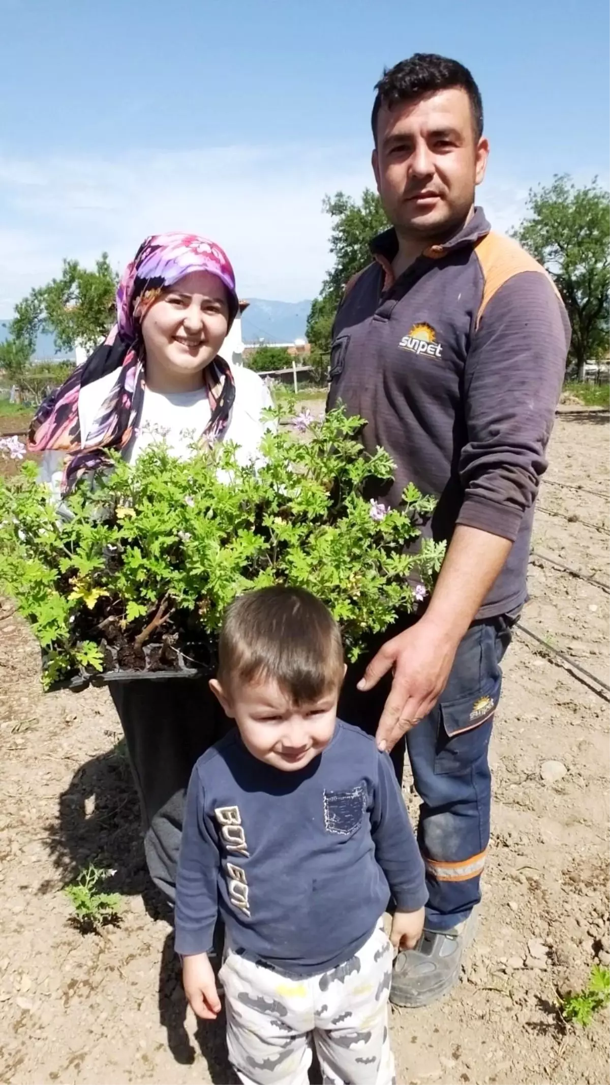 Burhaniye\'de diplomalı kadın çiftçi