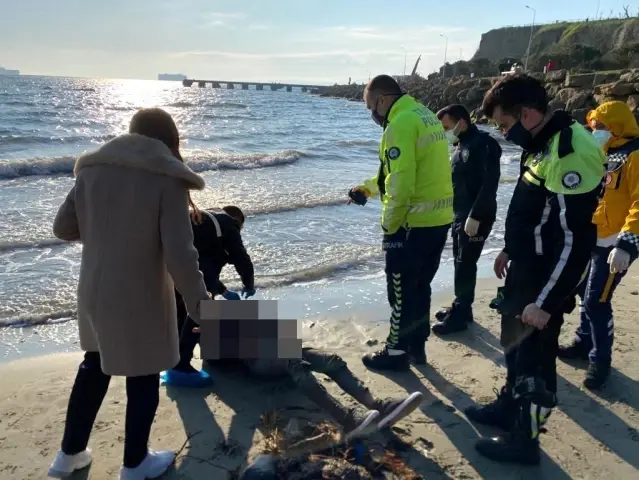 Denize düşen gemicinin cansız bedeni karaya vurdu