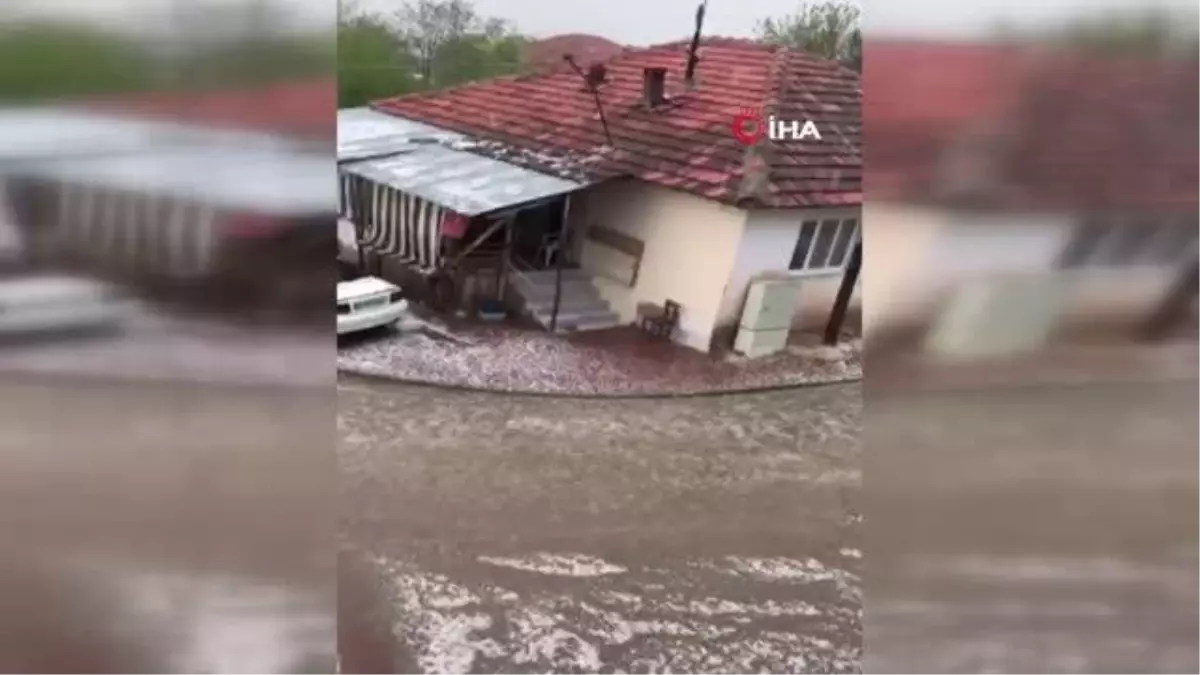 Dolu yağışı bağları vurdu