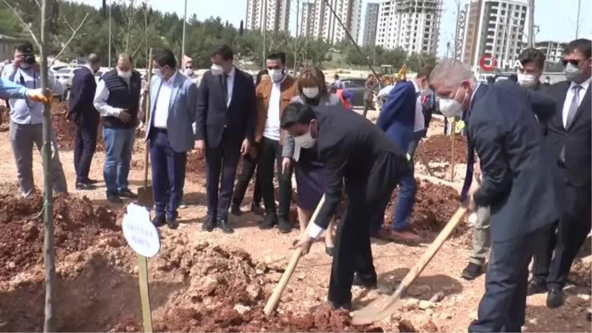 Gazeteciler "Yeşil Gaziantep" için ağaç dikti