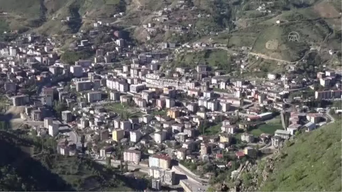 Hakkari dağlarında açan ters laleler görsel şölen sunuyor