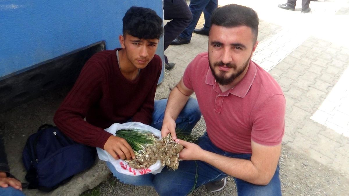 Şifalı zuzubak otunun kilosu altını geride bıraktı