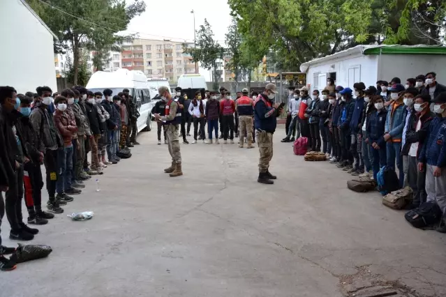 Siverek'te yabancı uyruklu 101 kaçak göçmen yakalandı