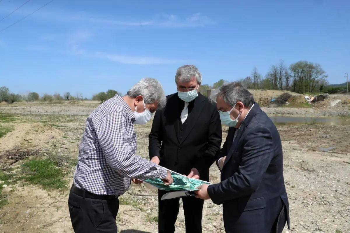 Sakarya\'da 350 dekarlık atıl alanda endüstriyel kenevir üretilecek