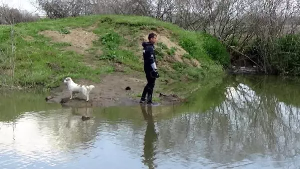 7 gündür haber alınamayan yaşlı adamın cansız bedeni bulundu! Beslediği sokak köpeği bir an olsun olay yerinden ayrılmadı