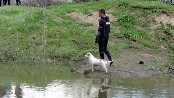 7 gündür haber alınamayan yaşlı adamın cansız bedeni bulundu! Beslediği sokak köpeği bir an olsun olay yerinden ayrılmadı