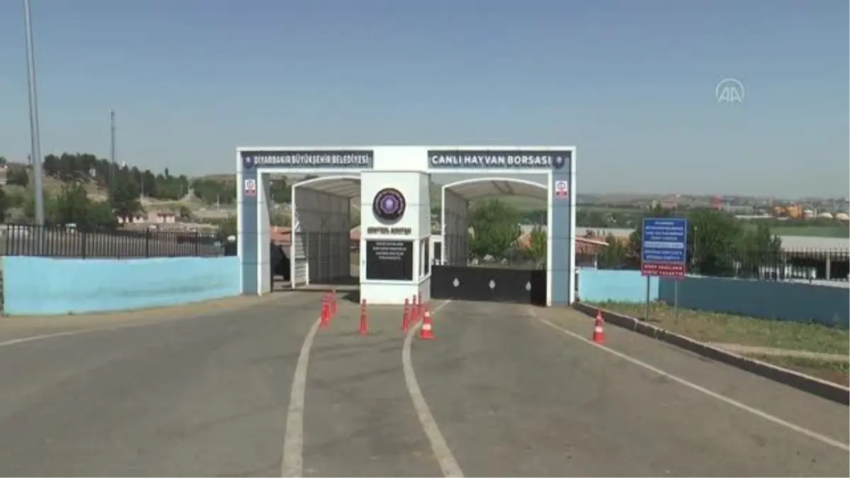 Diyarbakır Canlı Hayvan Borsası\'nda silahlı kavgada 1 kişi öldü, 3\'ü ağır 5 kişi yaralandı