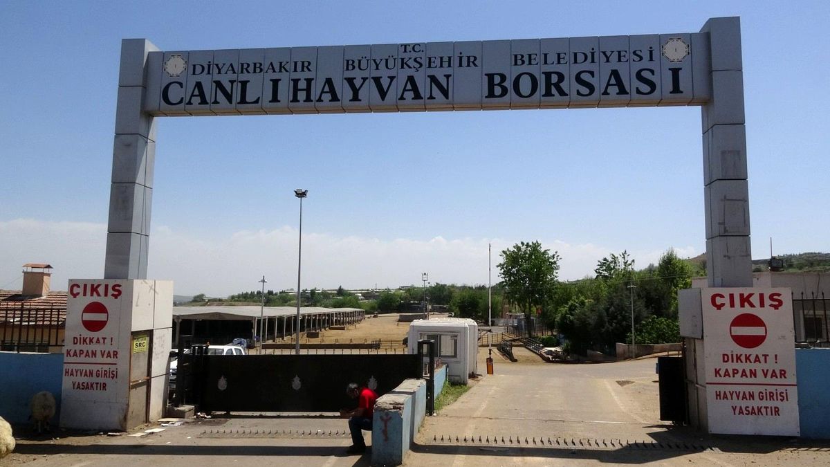 Son dakika haberleri: Diyarbakır\'da \'ihbar ettin\' mevzusu kanlı bitti: 1 ölü, 5 yaralı