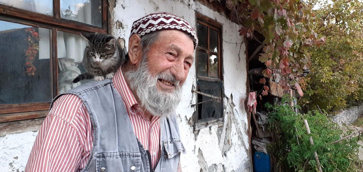 Halil dede vefat etti, kedileri öksüz kaldı