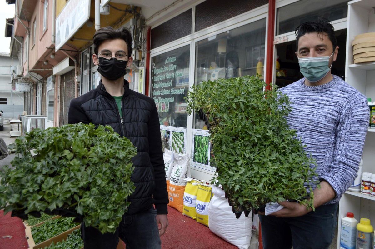 Havalar ısındı sebze fidesi satışlarında yoğunluk başladı