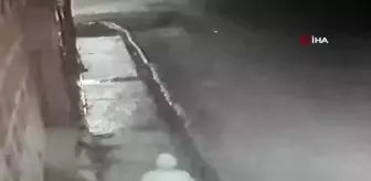 İş yerinin bahçesinden köpeği böyle çaldı