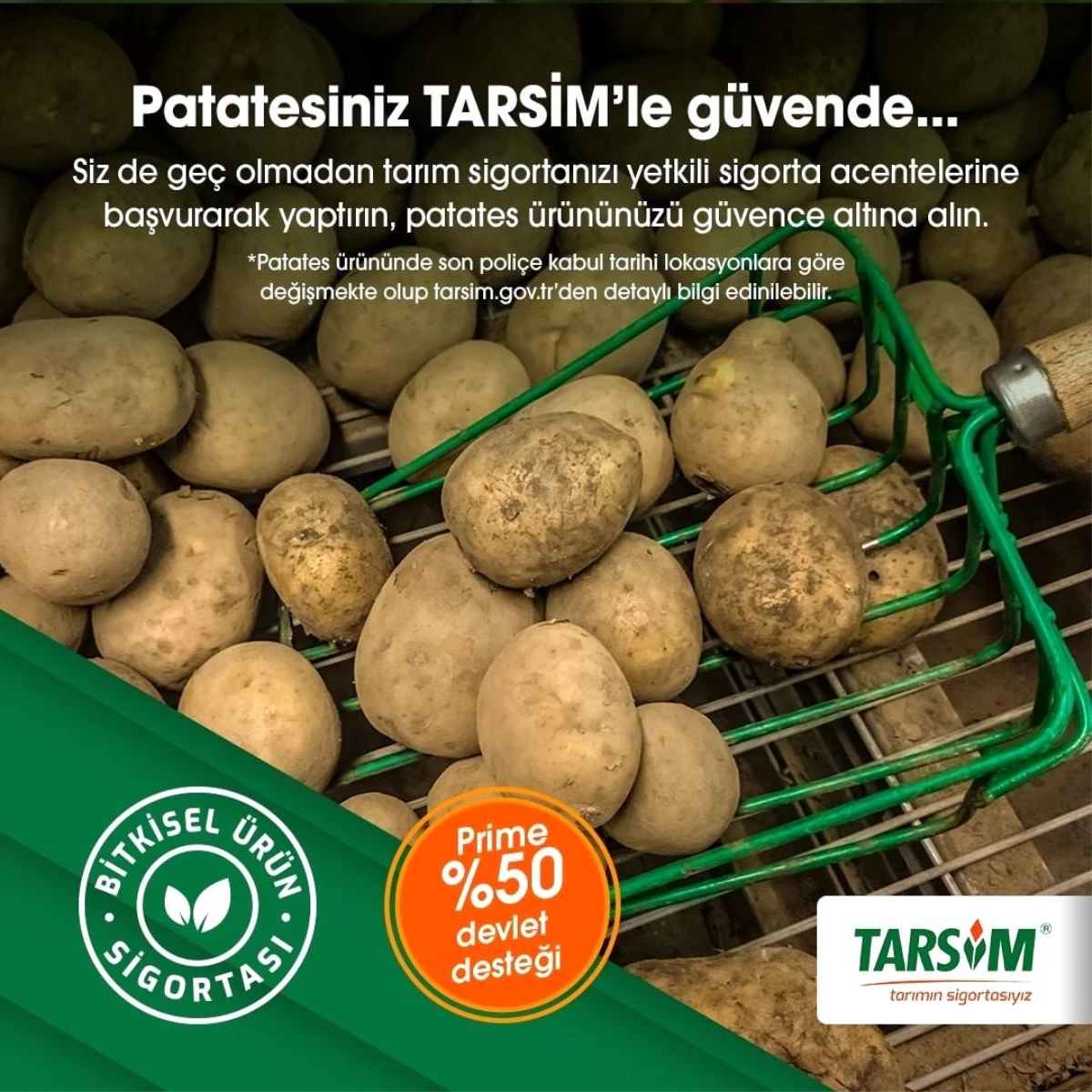 TARSİM: "Patates ürününüz güvende"