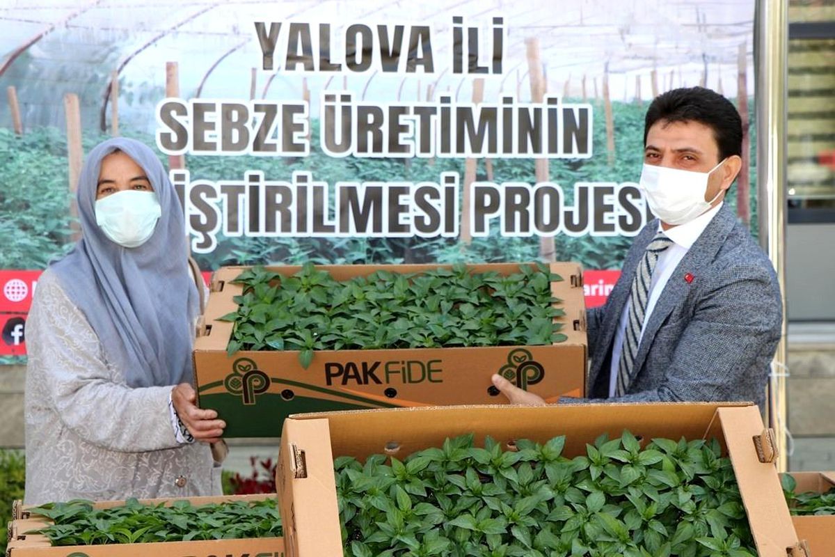Yalova\'da çiftçilere 600 bin fide dağıttı