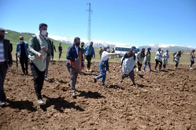 Yüksekova'da ekime kadın eli değdi