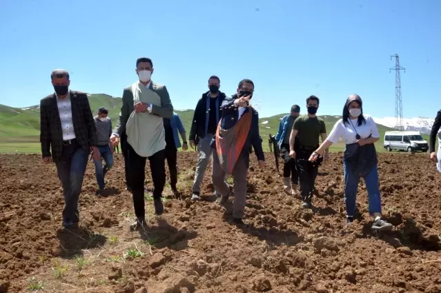 Yüksekova'da ekime kadın eli değdi