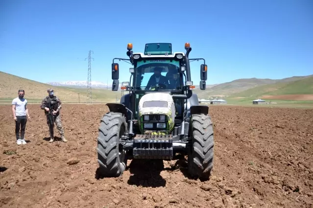 Yüksekova'da ekime kadın eli değdi