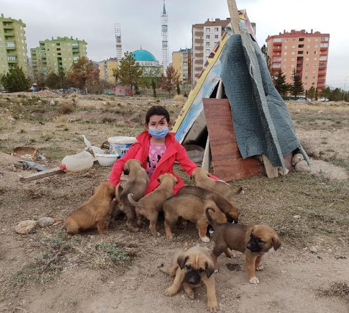 Zümra, 10 yavru köpeğin gönüllü bakıcısı oldu