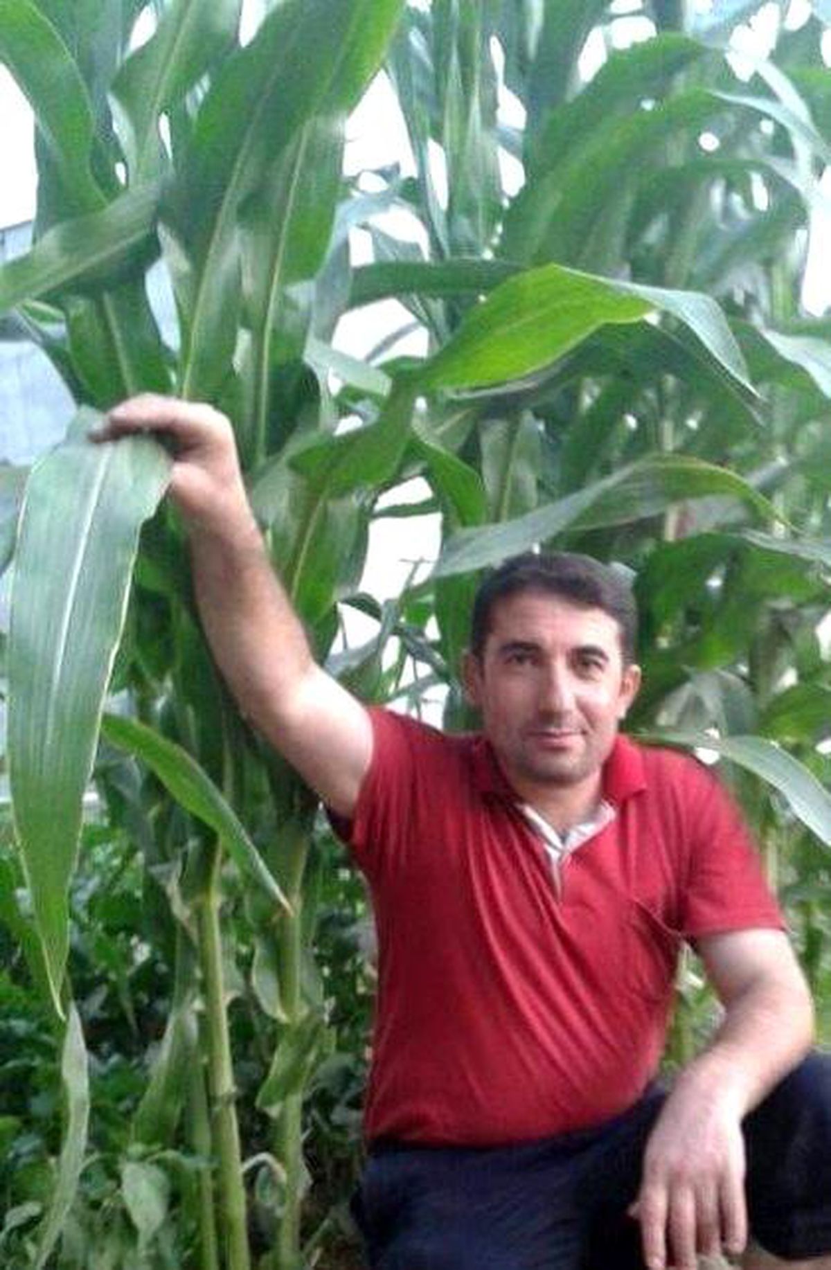 Son dakika haberleri: Batman\'da aracın çarptığı güvenlik korucusu şehit oldu