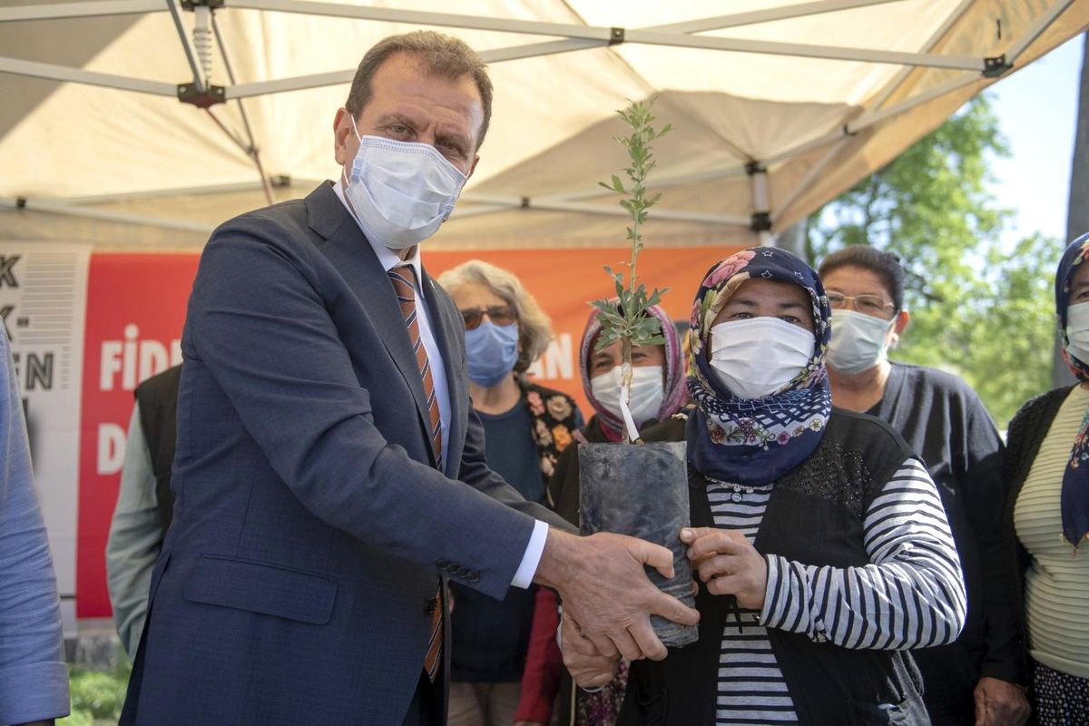 Mersin Büyükşehir Belediyesi, Silifkeli üreticilere 40 bin lavanta fidesi ile 990 alıç fidanı dağıttı