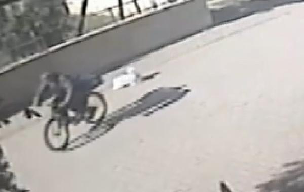 Çuvaldaki köpeği yola düşüren bisikletli ve otomobiliyle ezen sürücüye para cezası