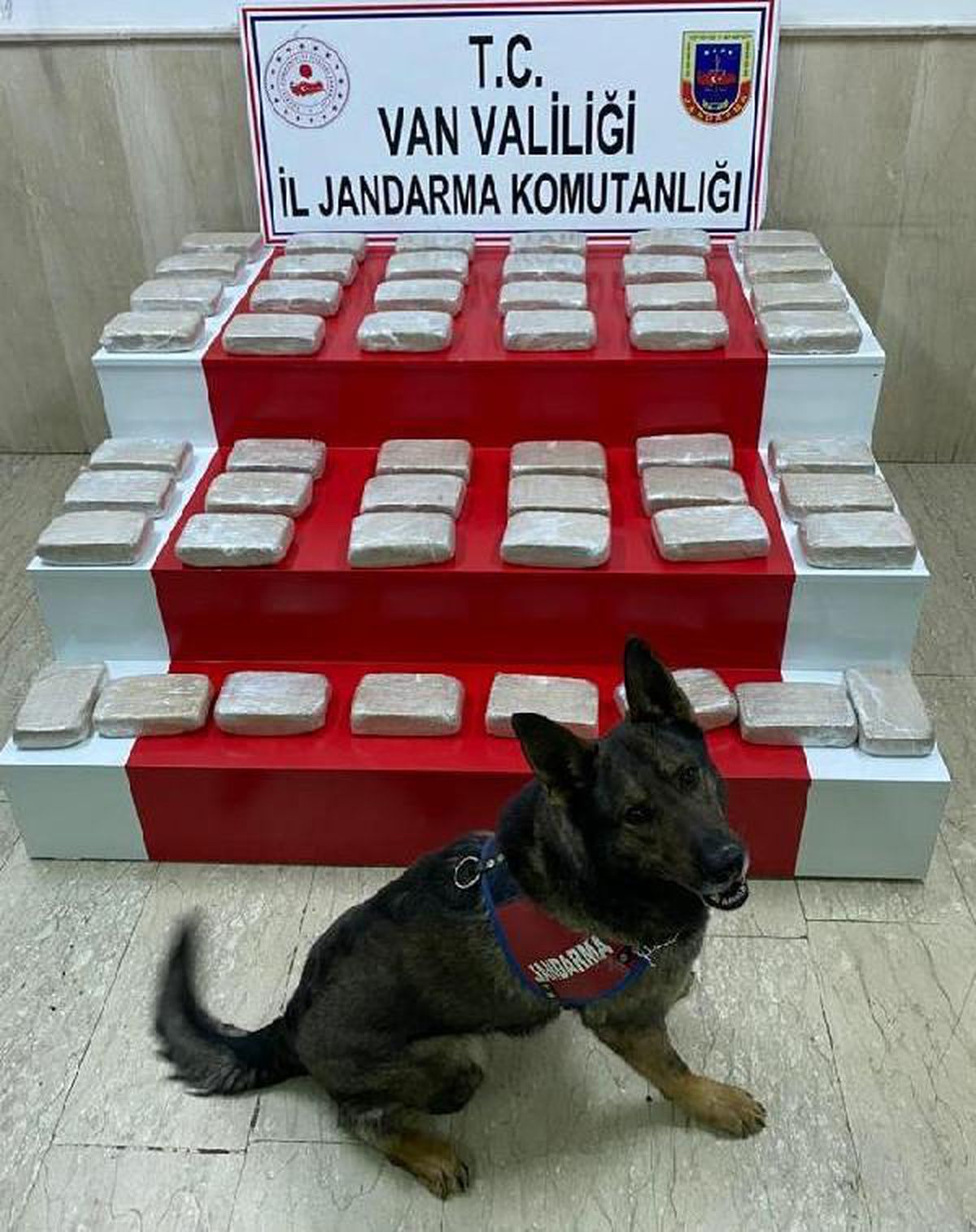 Evdeki 51 kilo eroini narkotik köpeği \'İbre\' buldu