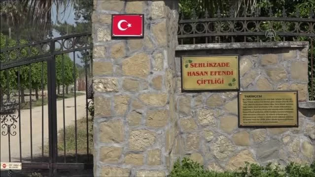 Sehlikzade Çiftliği'nde, Ermeni çetelerin Çukurova'daki katliamları belgelerle anlatılıyor