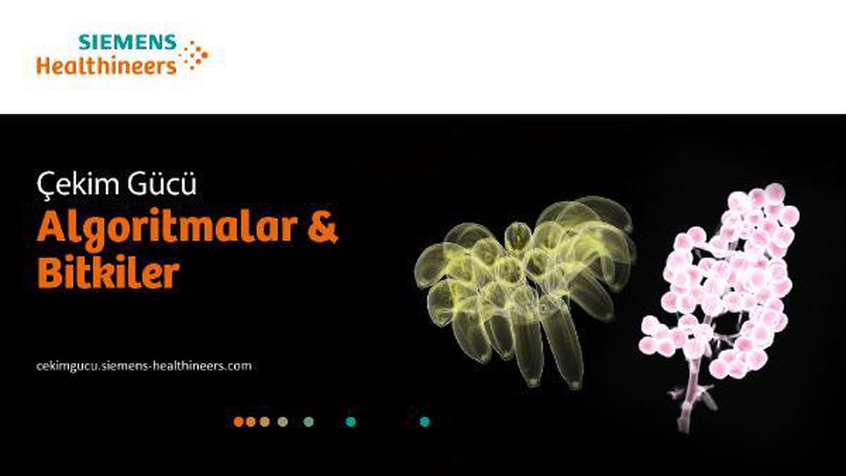 Teknoloji şirketinden Algoritmalar ve Bitkiler Sergisi