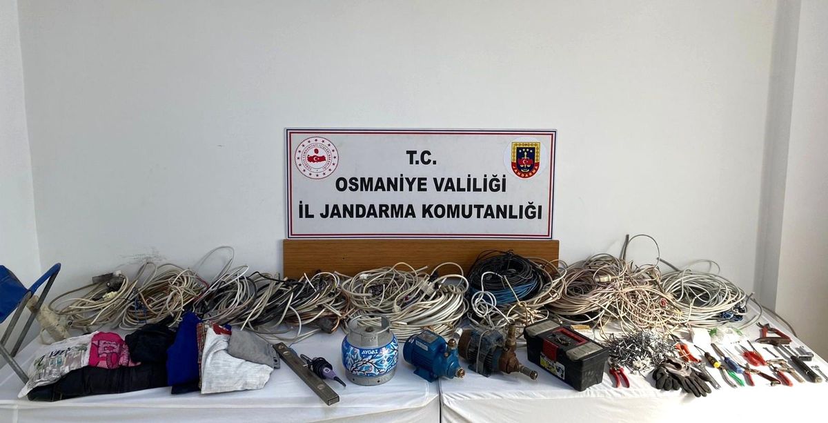 Yaylacıları bıktıran hırsızlar suçüstü yakalandı