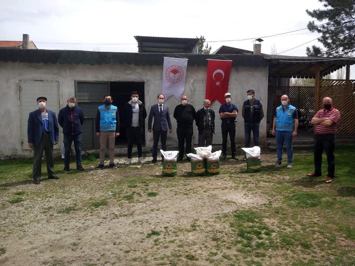 26 üreticiye çerezlik kabak tohumu dağıtıldı