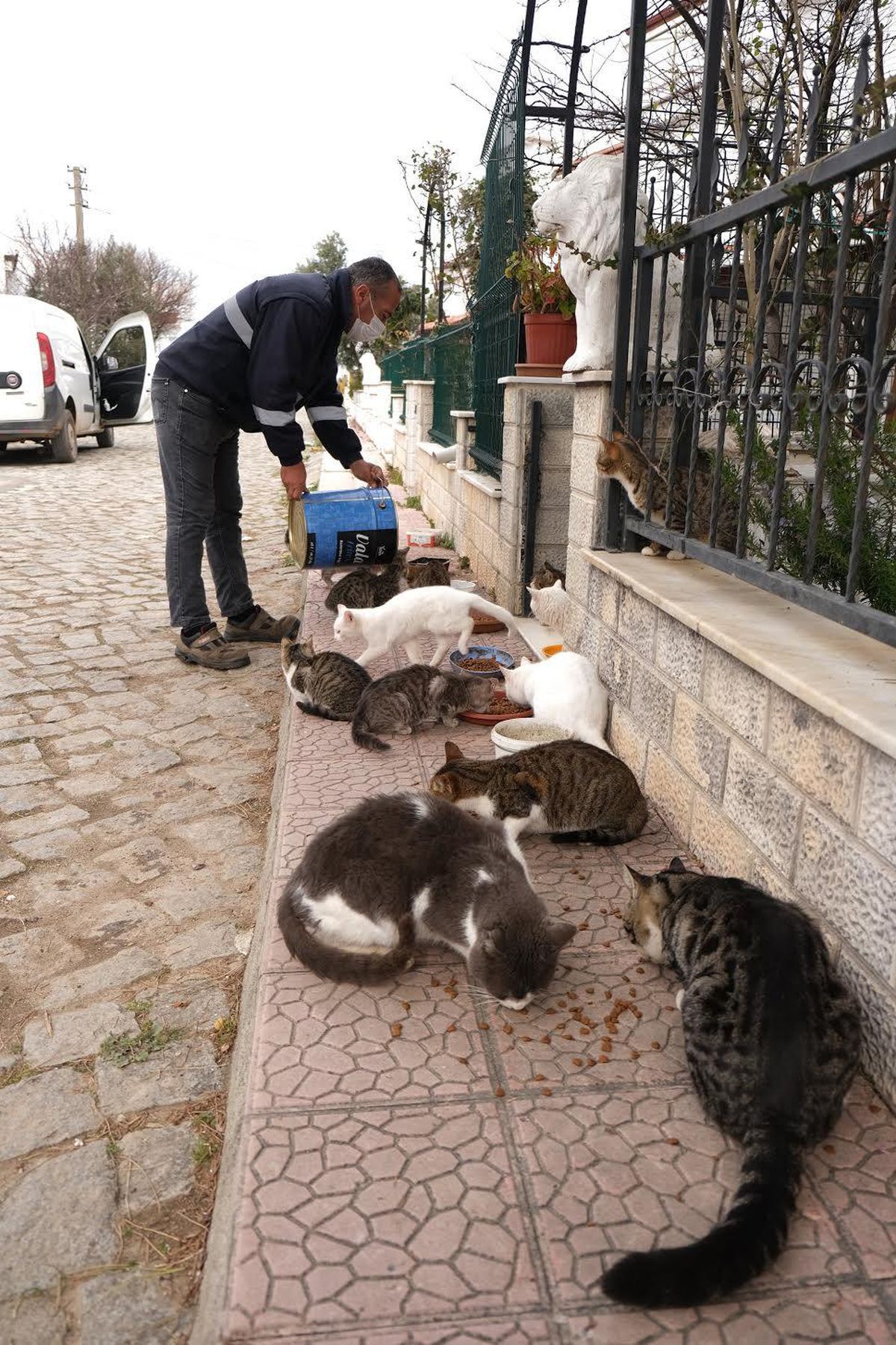 Ayvalık tam kapanmaya hazır
