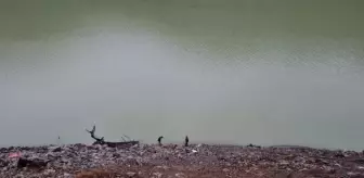 Baraj gölüne uçan otomobilde sürücü yaralandı, eşi öldü