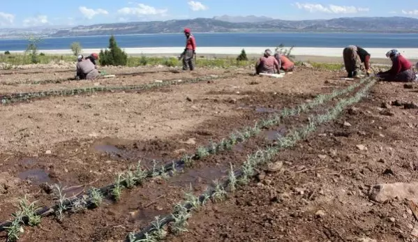 Son dakika haberleri... BURDUR GÖLÜ'NÜ 'SUSUZ TARIM' KURTARACAK