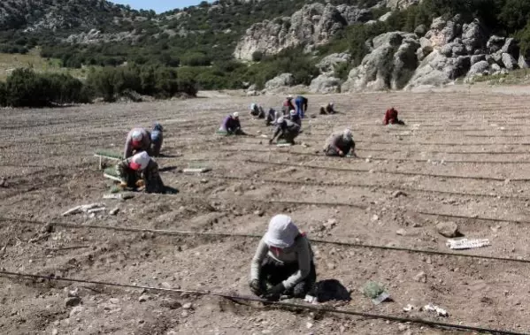 Son dakika haberleri... BURDUR GÖLÜ'NÜ 'SUSUZ TARIM' KURTARACAK