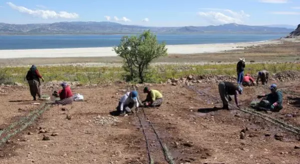 Son dakika haberleri... BURDUR GÖLÜ'NÜ 'SUSUZ TARIM' KURTARACAK